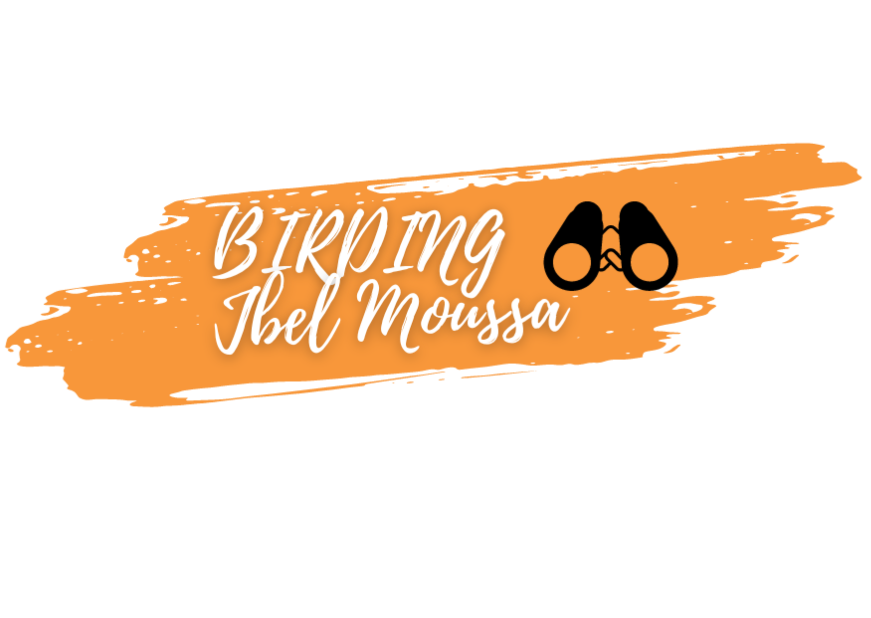 Birding Jbel Moussa