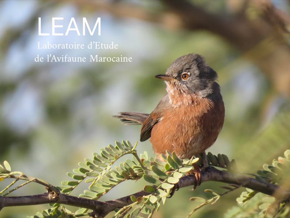 467481960_122175255260127592_3239766041999462416_n